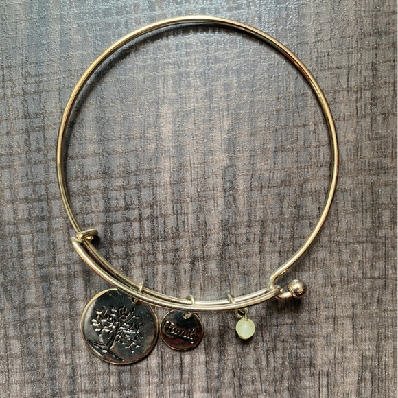 🌈 3/$15 Family Charm Bracelet Costume Jewelry - Picture 4 of 5